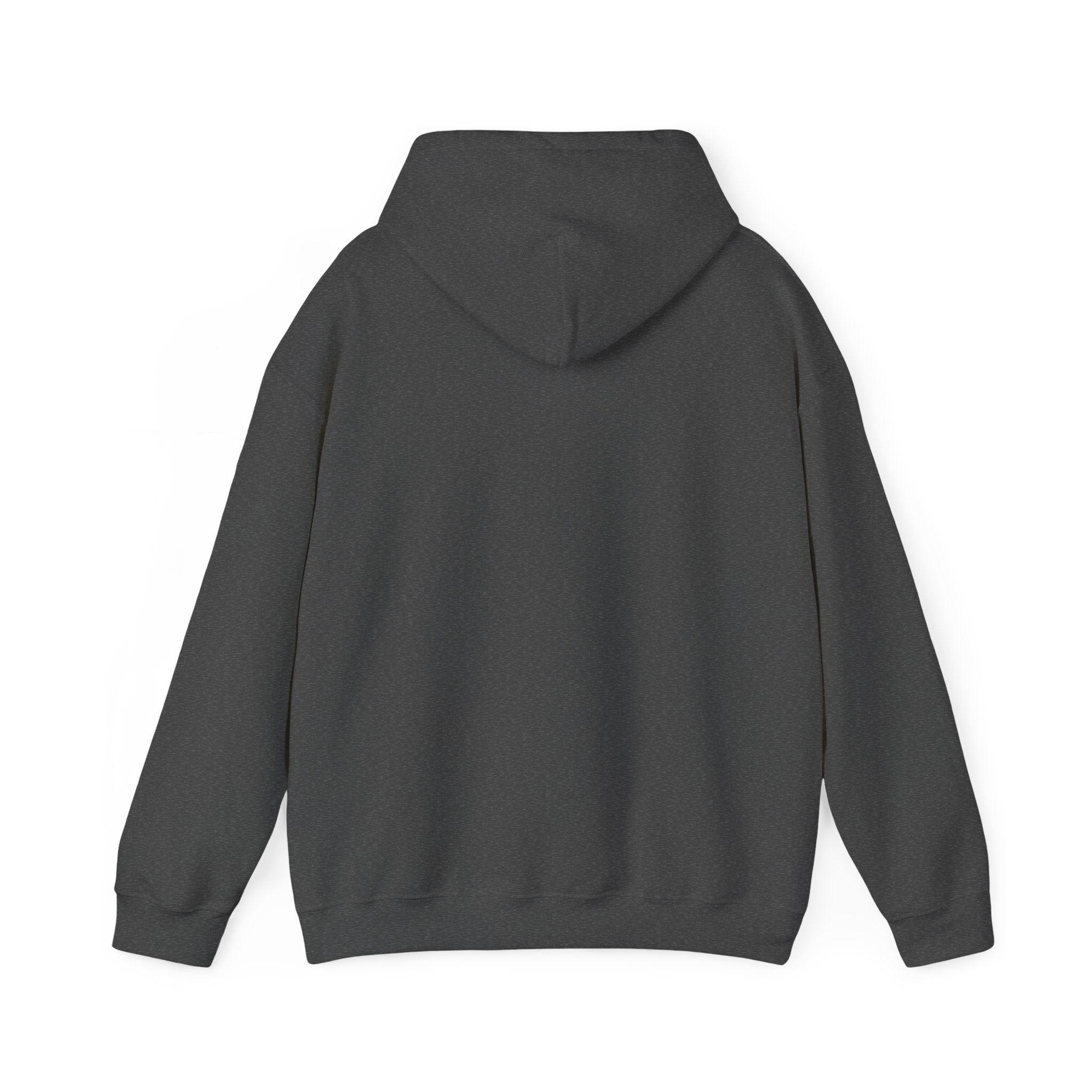 Stolan Acres | Hooded Sweatshirt (Black Logo)