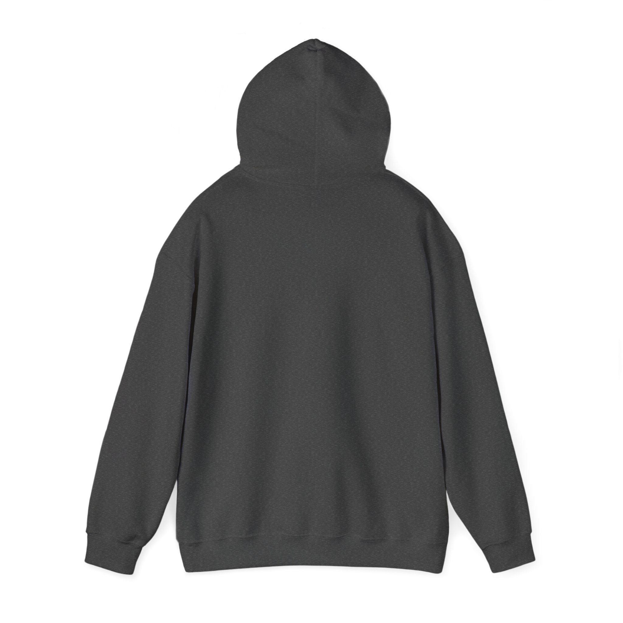 Stolan Acres | Hooded Sweatshirt (Black Logo)