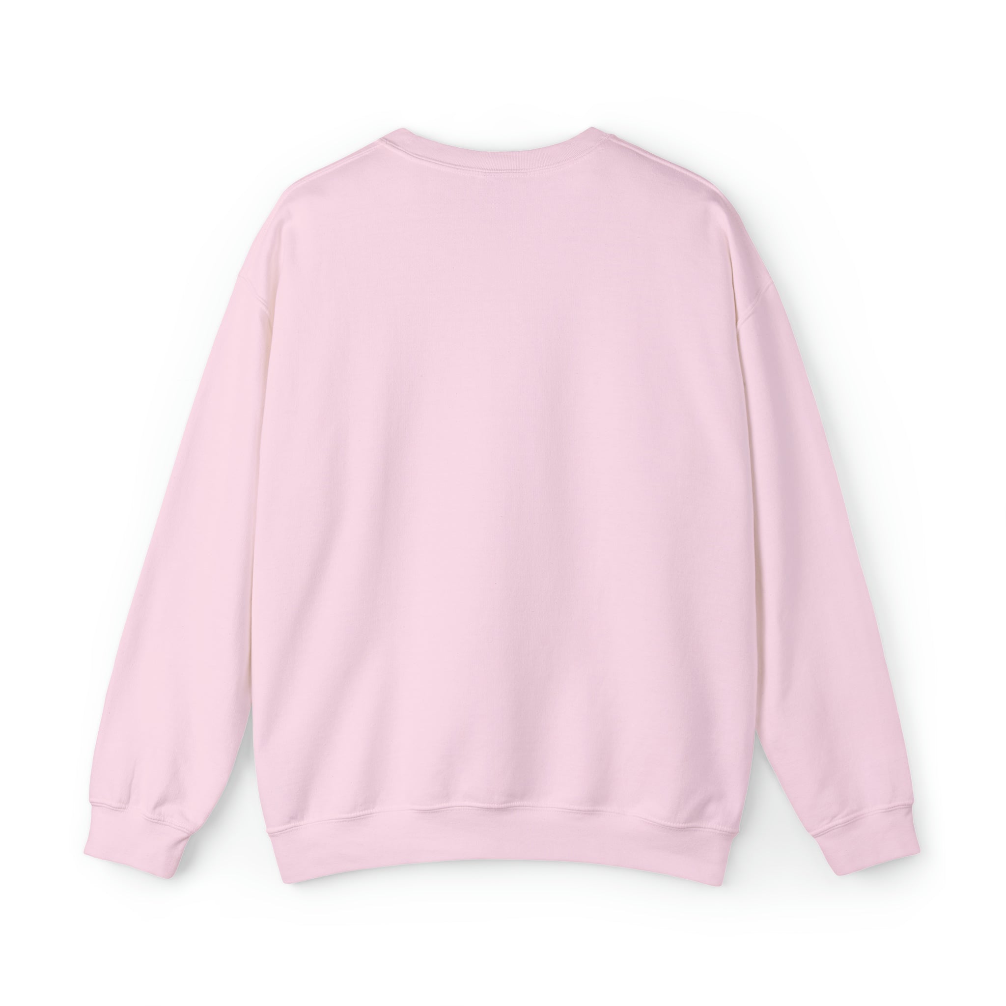 Exorcist Crewneck Sweatshirt (Pink and Navy Variant)