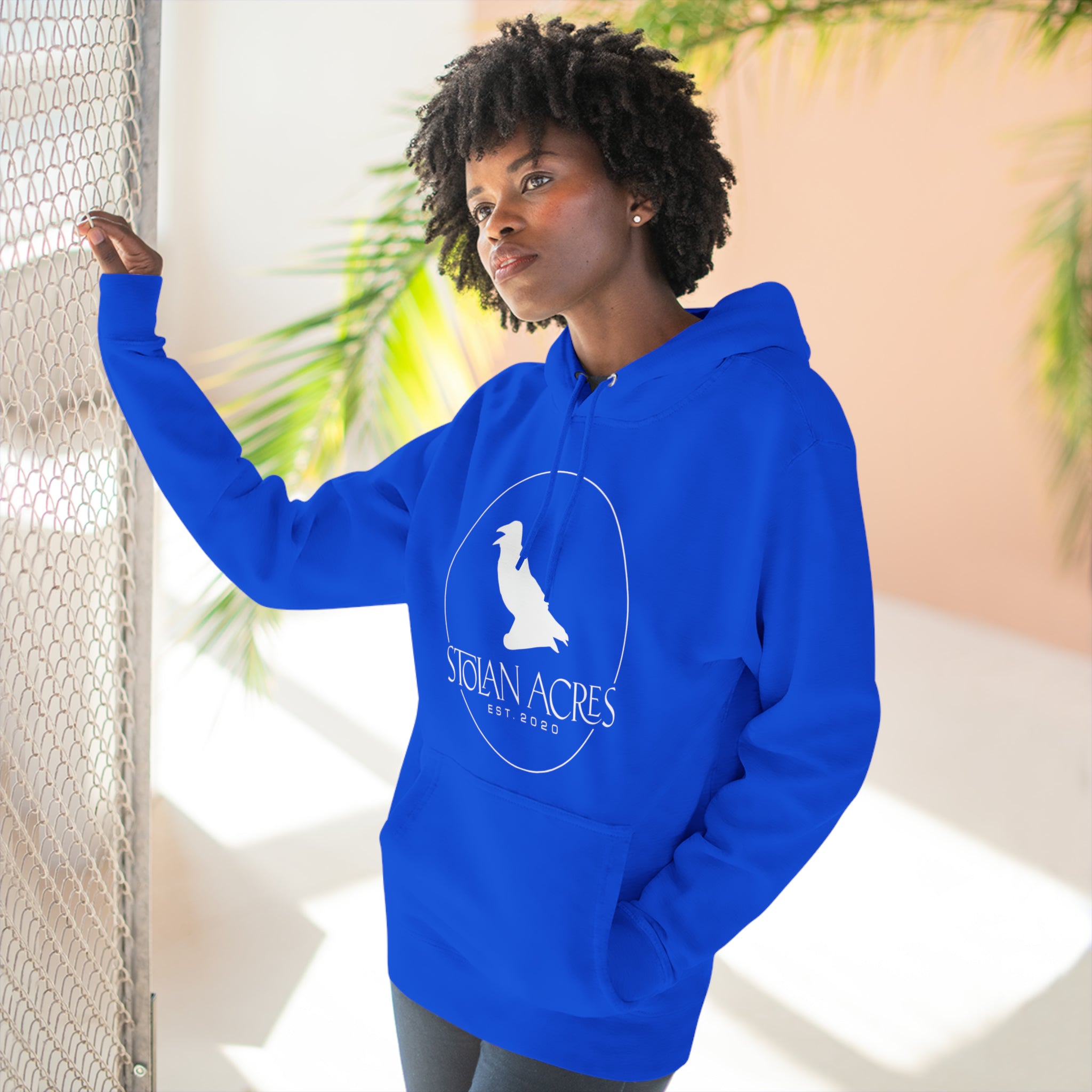Stolan Acres Raven Hoodie