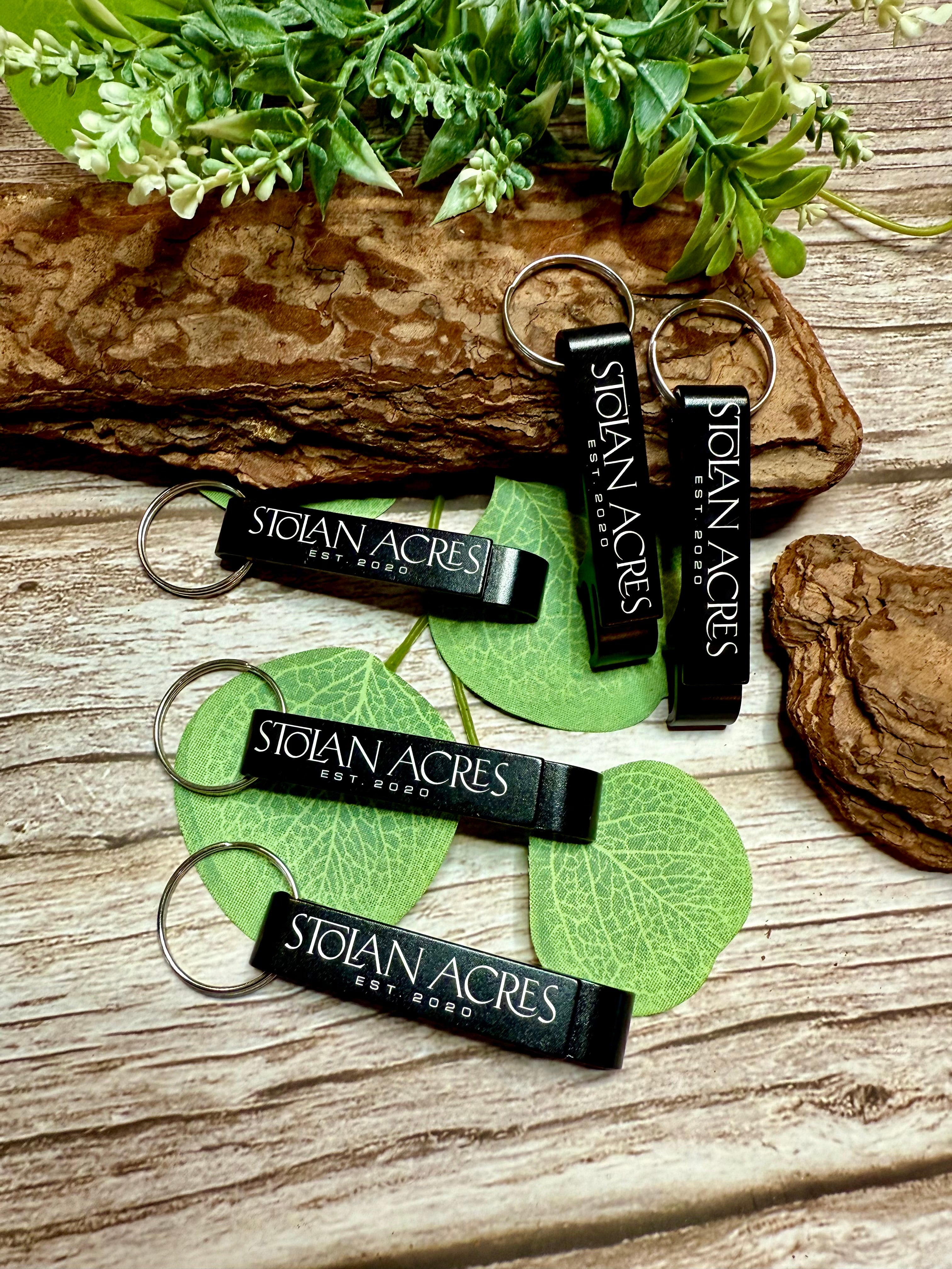 Promote Your Brand Key Chain (10)